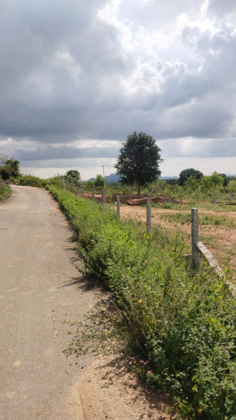  5 Acre Agricultural/Farm Land for Sale in Shoolagiri, Hosur
