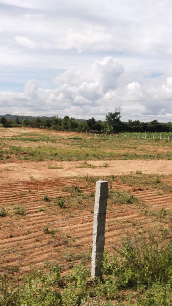  5 Acre Agricultural/Farm Land for Sale in Shoolagiri, Hosur