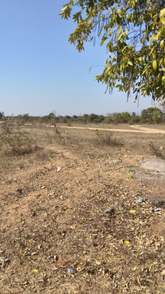  3488000 Sq.ft. Agricultural/Farm Land for Sale in Veppanapalli, Krishnagiri