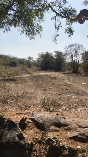  3488000 Sq.ft. Agricultural/Farm Land for Sale in Veppanapalli, Krishnagiri