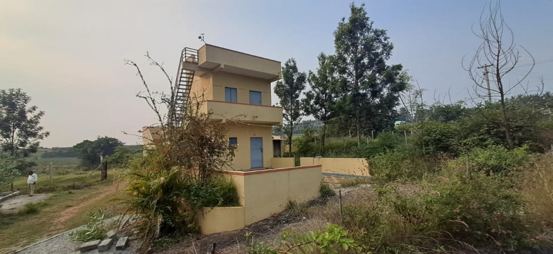  436000 Sq.ft. Agricultural/Farm Land for Sale in Denkanikottai, Hosur