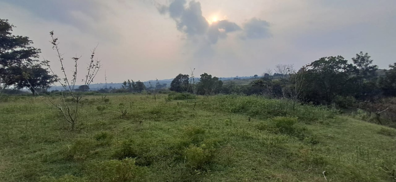  436000 Sq.ft. Agricultural/Farm Land for Sale in Denkanikottai, Hosur