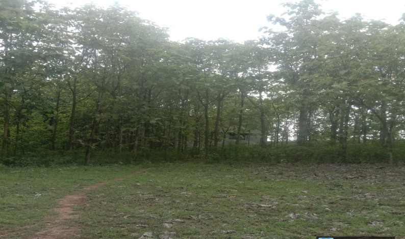  9600 Sq.ft. Residential Plot for Sale in Manuganahally, Mysore