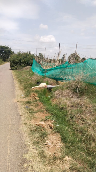  335720 Sq.ft. Agricultural/Farm Land for Sale in Rayakottai Road, Hosur
