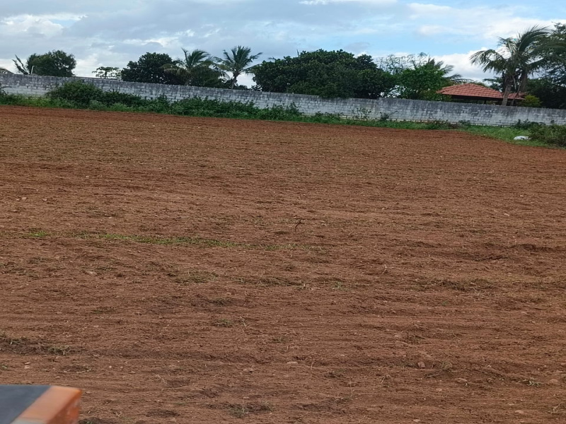  98100 Sq.ft. Agricultural/Farm Land for Sale in Shoolagiri, Hosur