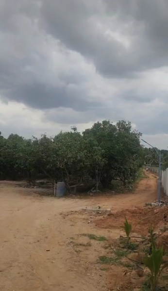  117720 Sq.ft. Agricultural/Farm Land for Sale in Shoolagiri, Hosur