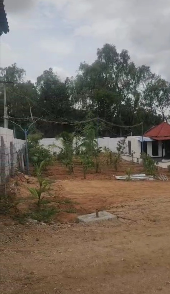  117720 Sq.ft. Agricultural/Farm Land for Sale in Shoolagiri, Hosur