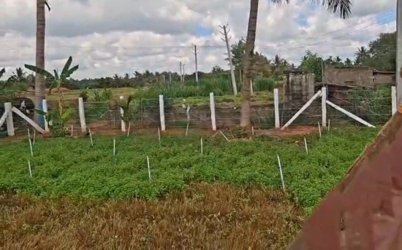  45344 Sq.ft. Agricultural/Farm Land for Sale in Shoolagiri, Hosur