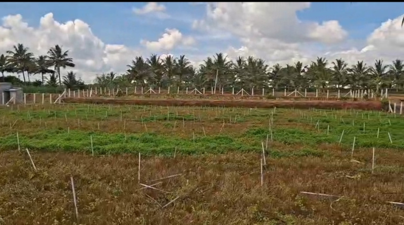  45344 Sq.ft. Agricultural/Farm Land for Sale in Shoolagiri, Hosur