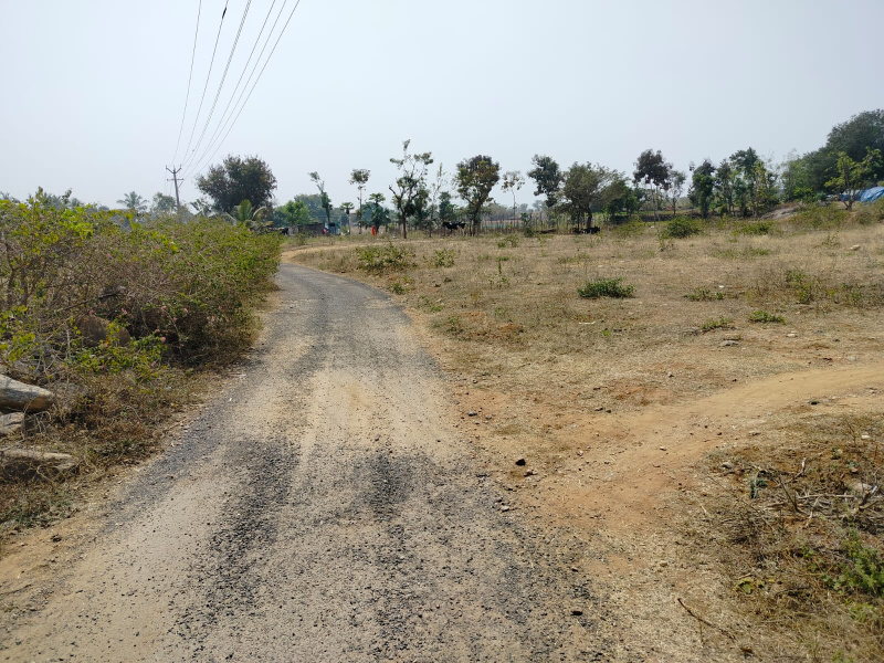  436000 Sq.ft. Agricultural/Farm Land for Sale in B. Mallapuram, Dharmapuri