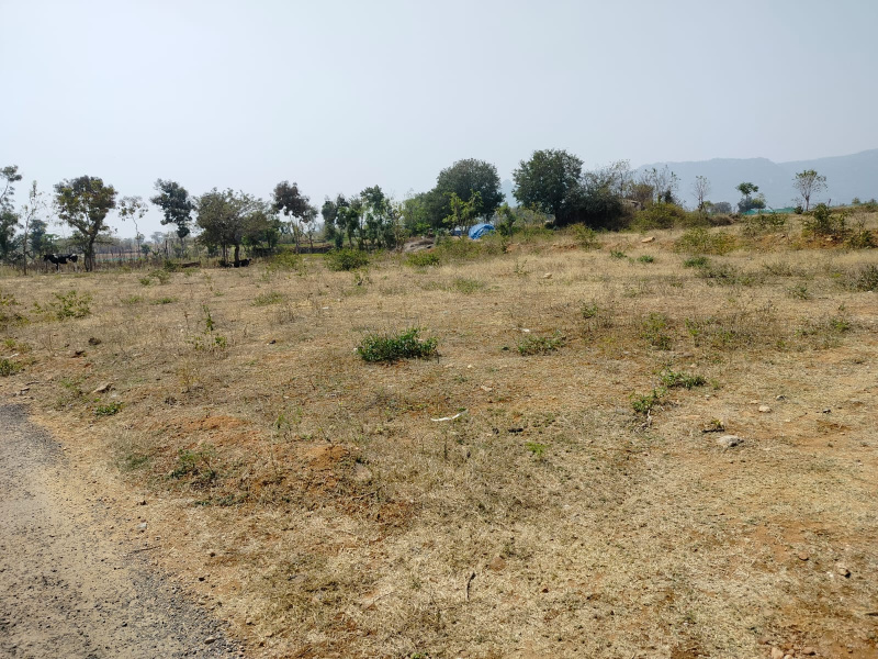  436000 Sq.ft. Agricultural/Farm Land for Sale in B. Mallapuram, Dharmapuri