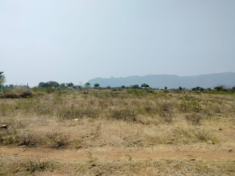  436000 Sq.ft. Agricultural/Farm Land for Sale in B. Mallapuram, Dharmapuri