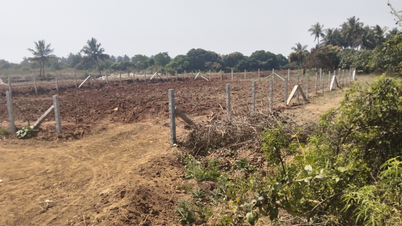  9592 Sq.ft. Warehouse for Sale in Shoolagiri, Hosur