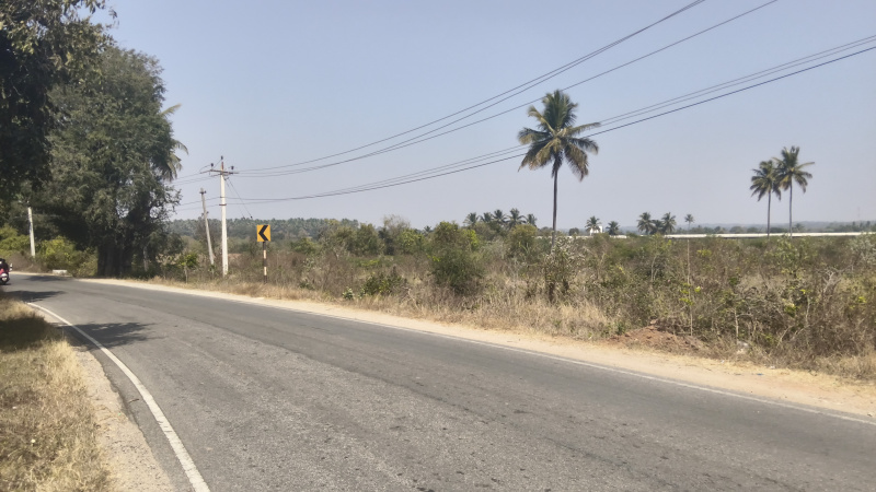 1308000 Sq.ft. Industrial Land for Sale in Shoolagiri, Hosur