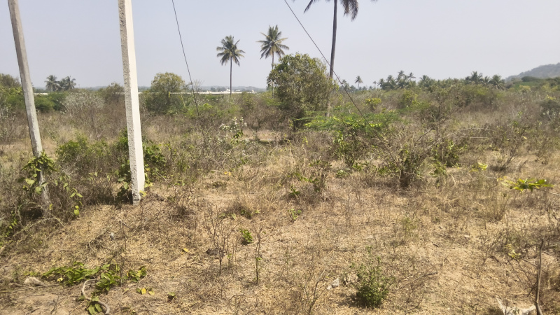  1308000 Sq.ft. Industrial Land for Sale in Shoolagiri, Hosur