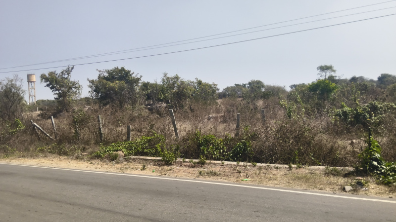  1308000 Sq.ft. Agricultural/Farm Land for Sale in Shoolagiri, Hosur