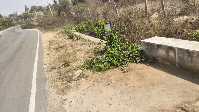  1308000 Sq.ft. Agricultural/Farm Land for Sale in Shoolagiri, Hosur