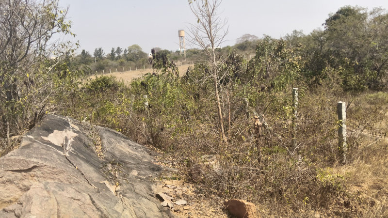  1308000 Sq.ft. Agricultural/Farm Land for Sale in Shoolagiri, Hosur