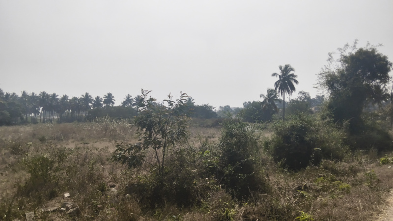  143880 Sq.ft. Industrial Land for Sale in Shoolagiri, Hosur