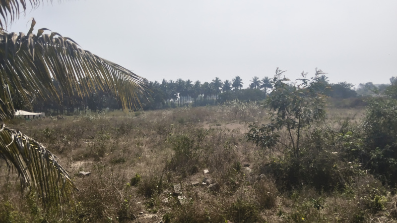  143880 Sq.ft. Industrial Land for Sale in Shoolagiri, Hosur