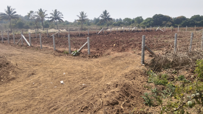  9592 Sq.ft. Agricultural/Farm Land for Sale in Shoolagiri, Hosur