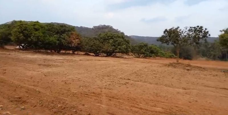  222360 Sq.ft. Agricultural/Farm Land for Sale in Shoolagiri, Hosur