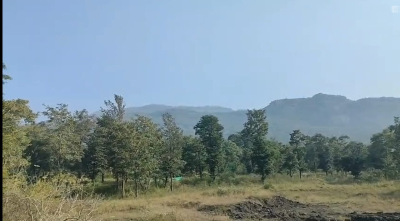  4360000 Sq.ft. Agricultural/Farm Land for Sale in Thalayathimund, Ooty