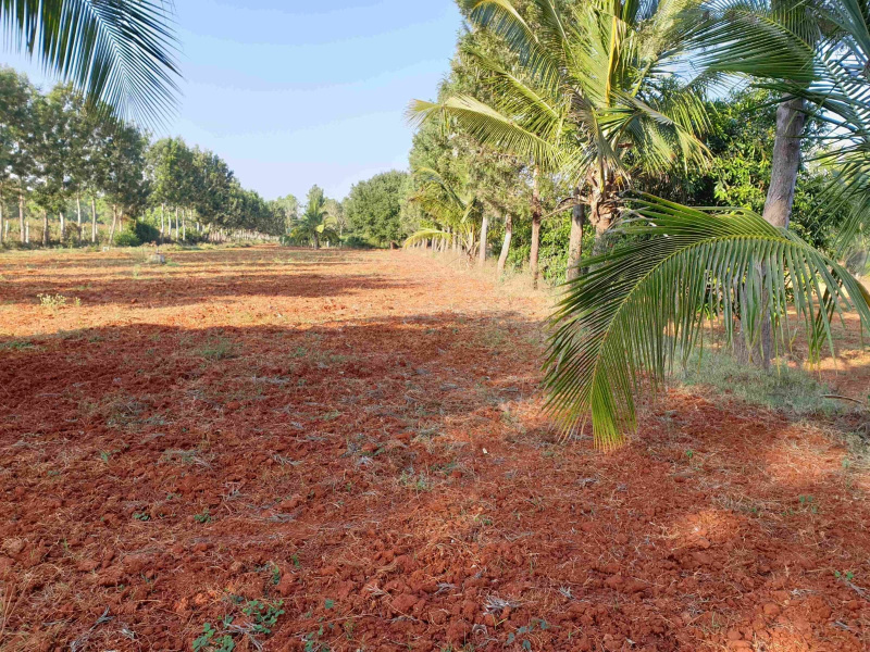  109000 Sq.ft. Agricultural/Farm Land for Sale in Thalli, Hosur