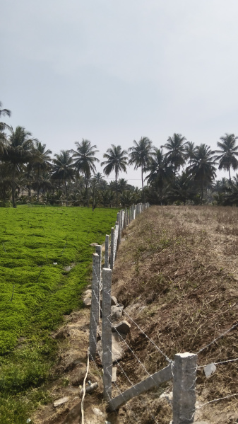  18312 Sq.ft. Agricultural/Farm Land for Sale in Shoolagiri, Hosur