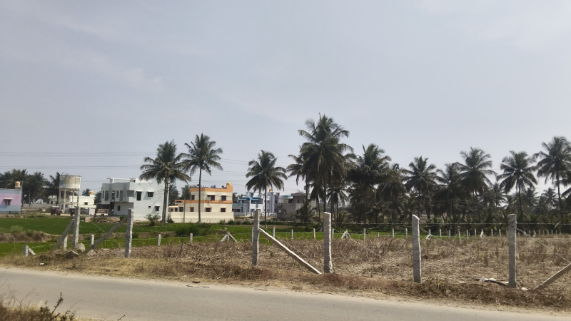  18312 Sq.ft. Agricultural/Farm Land for Sale in Shoolagiri, Hosur