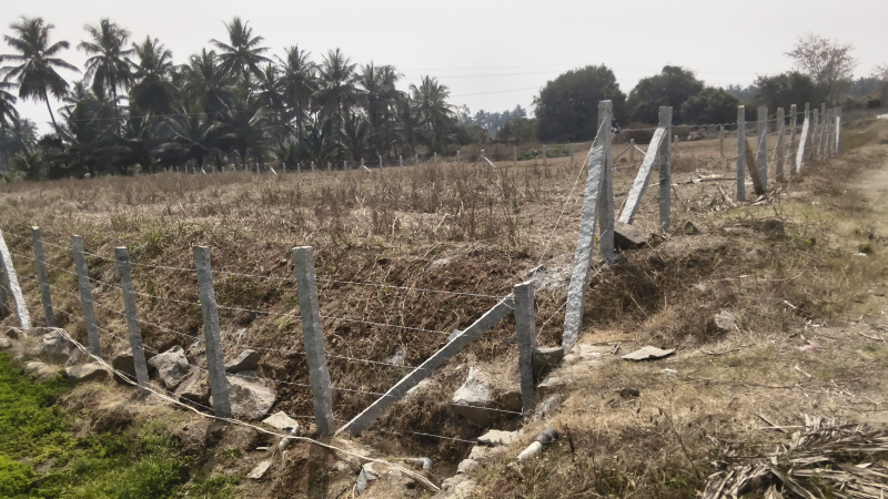  18312 Sq.ft. Agricultural/Farm Land for Sale in Shoolagiri, Hosur