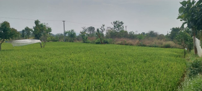  87200 Sq.ft. Agricultural/Farm Land for Sale in Thirumalai Nagar, Kanchipuram