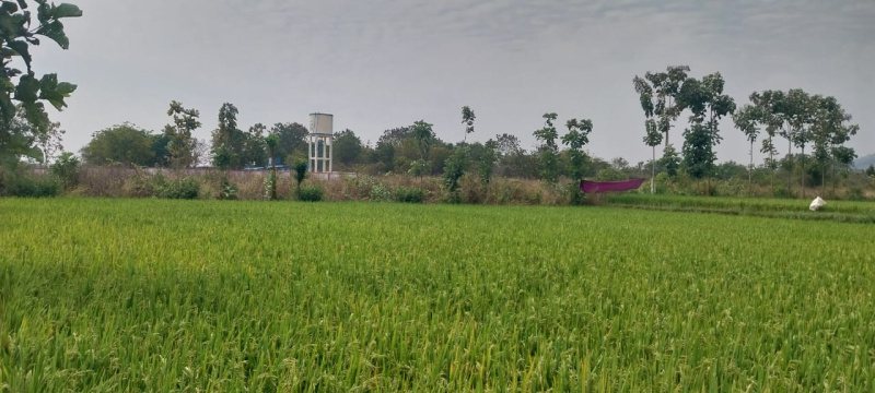  87200 Sq.ft. Agricultural/Farm Land for Sale in Thirumalai Nagar, Kanchipuram