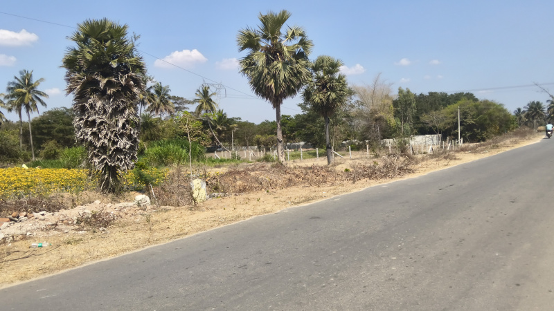  218000 Sq.ft. Agricultural/Farm Land for Sale in Shoolagiri, Hosur