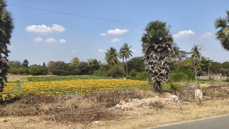  218000 Sq.ft. Agricultural/Farm Land for Sale in Shoolagiri, Hosur