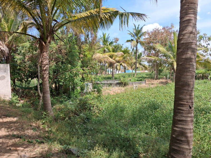  56680 Sq.ft. Agricultural/Farm Land for Sale in Marandahalli, Dharmapuri