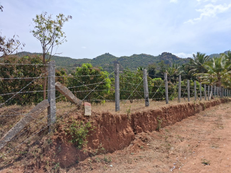  235440 Sq.ft. Agricultural/Farm Land for Sale in Marandahalli, Dharmapuri