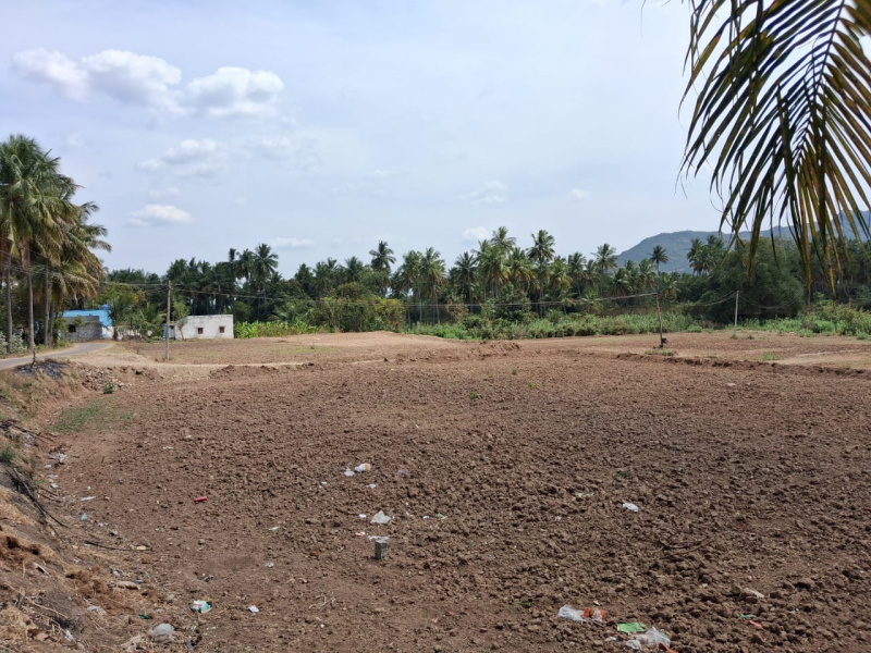 74120 Sq.ft. Agricultural/Farm Land for Sale in Marandahalli, Dharmapuri