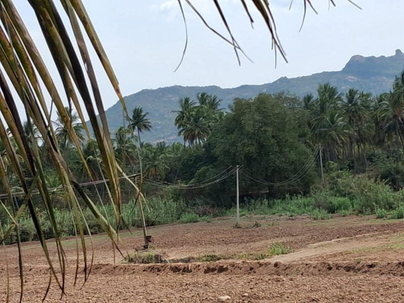  74120 Sq.ft. Agricultural/Farm Land for Sale in Marandahalli, Dharmapuri