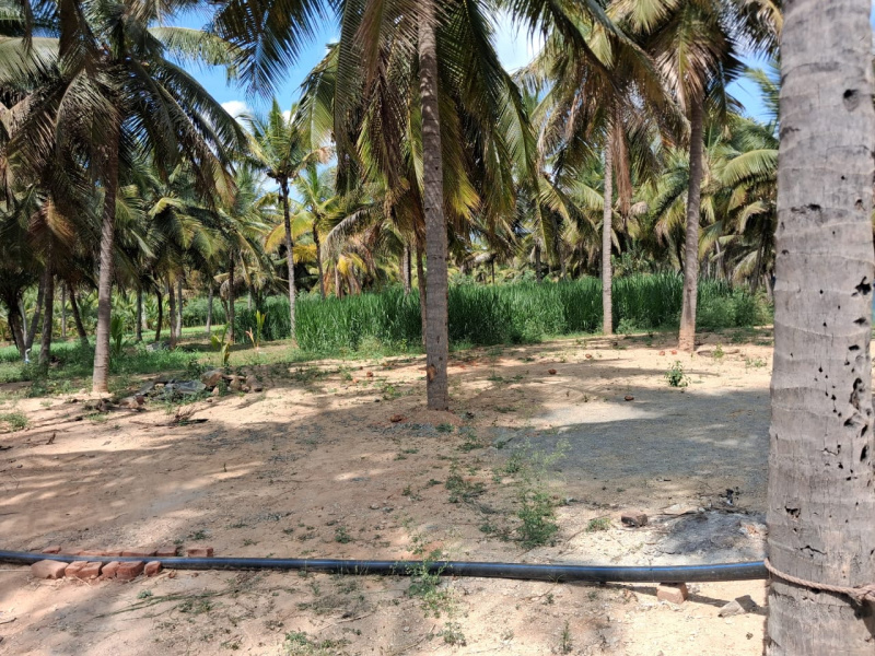  52320 Sq.ft. Agricultural/Farm Land for Sale in Marandahalli, Dharmapuri