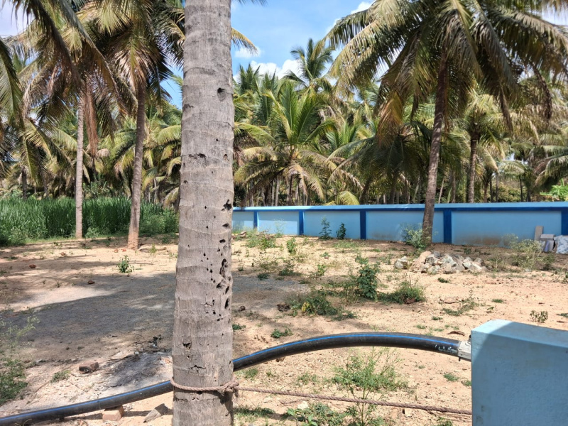  52320 Sq.ft. Agricultural/Farm Land for Sale in Marandahalli, Dharmapuri