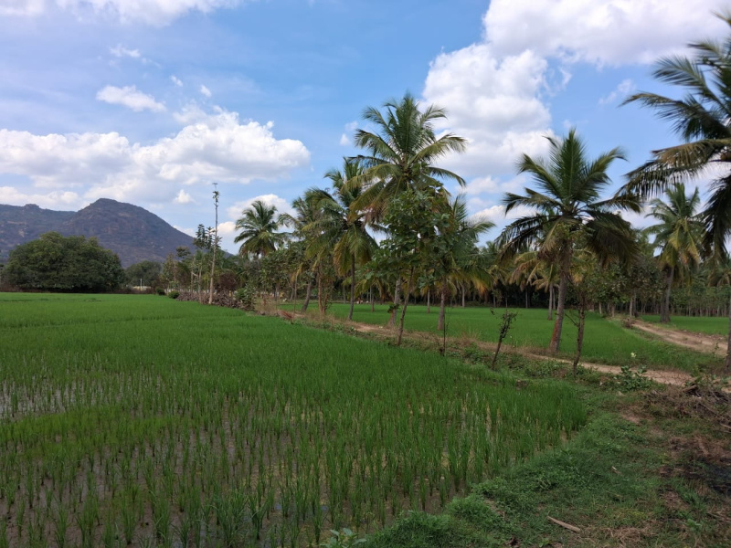  457800 Sq.ft. Agricultural/Farm Land for Sale in Marandahalli, Dharmapuri