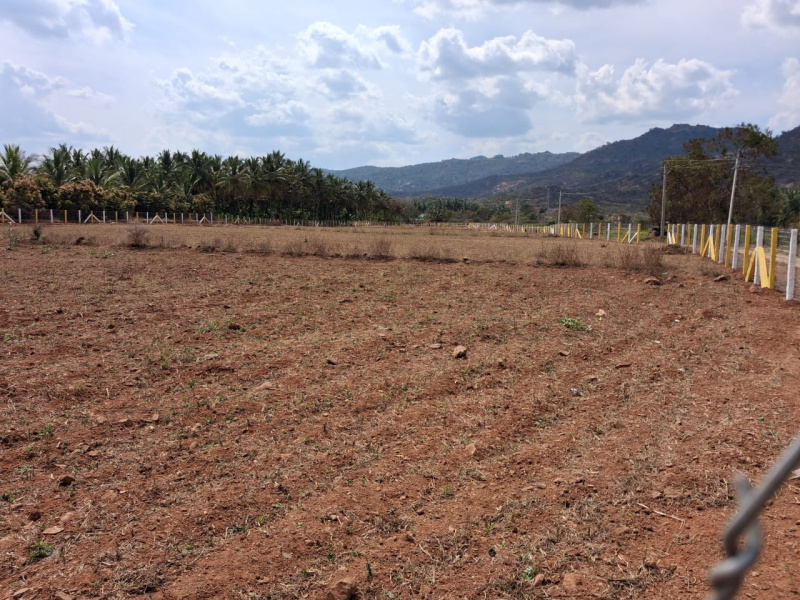  174400 Sq.ft. Agricultural/Farm Land for Sale in Marandahalli, Dharmapuri