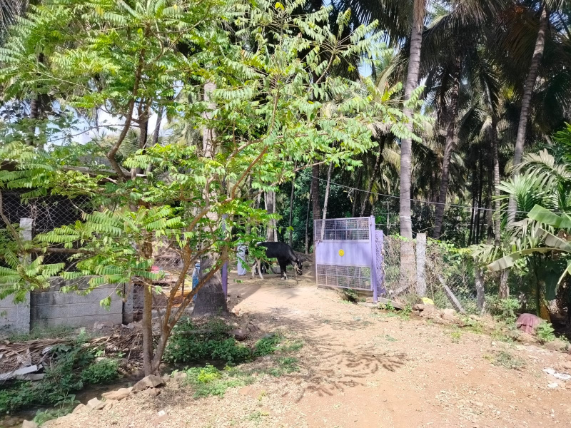  141700 Sq.ft. Agricultural/Farm Land for Sale in Marandahalli, Dharmapuri