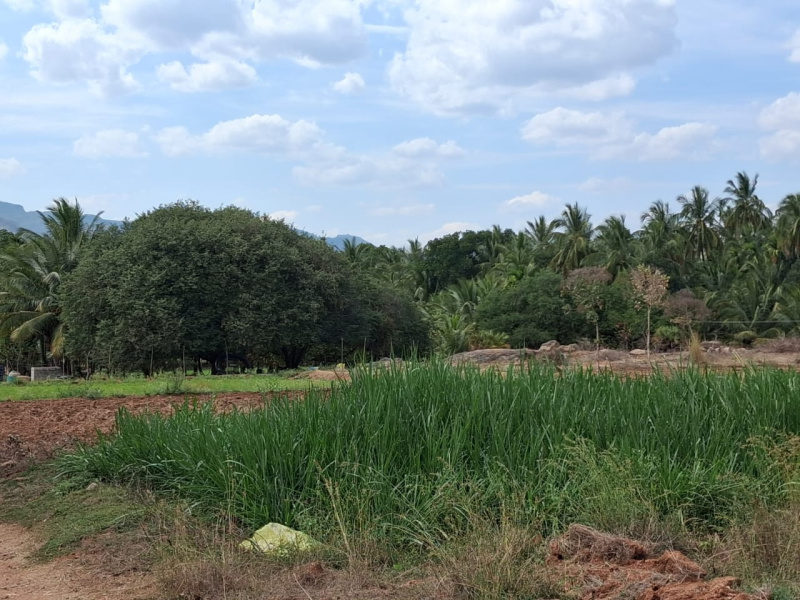  392400 Sq.ft. Agricultural/Farm Land for Sale in Marandahalli, Dharmapuri
