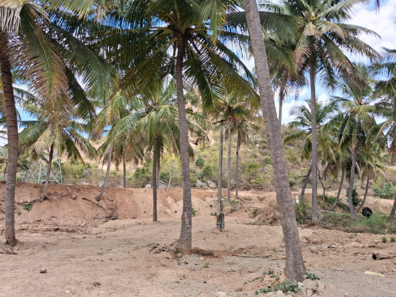  48832 Sq.ft. Agricultural/Farm Land for Sale in Marandahalli, Dharmapuri