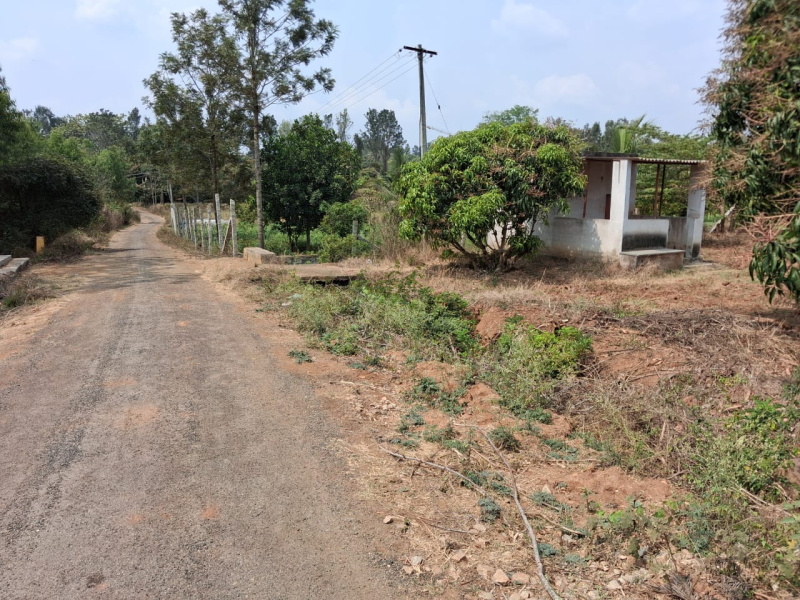  43600 Sq.ft. Agricultural/Farm Land for Sale in Thalli, Hosur
