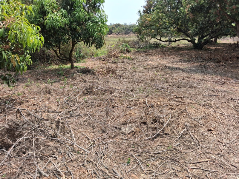  27904 Sq.ft. Agricultural/Farm Land for Sale in Thalli, Hosur