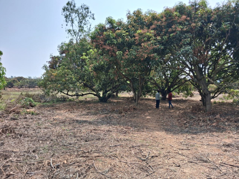  27904 Sq.ft. Agricultural/Farm Land for Sale in Thalli, Hosur