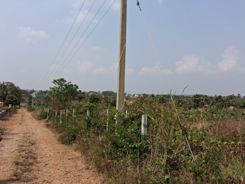  43600 Sq.ft. Agricultural/Farm Land for Sale in Thalli, Hosur